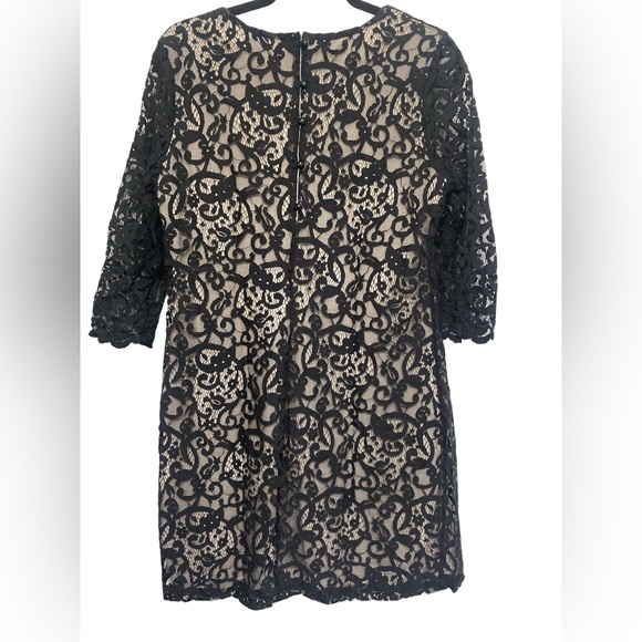 H&M Black Lace Sheath Dress with Nude Lining - Picture 3 of 5